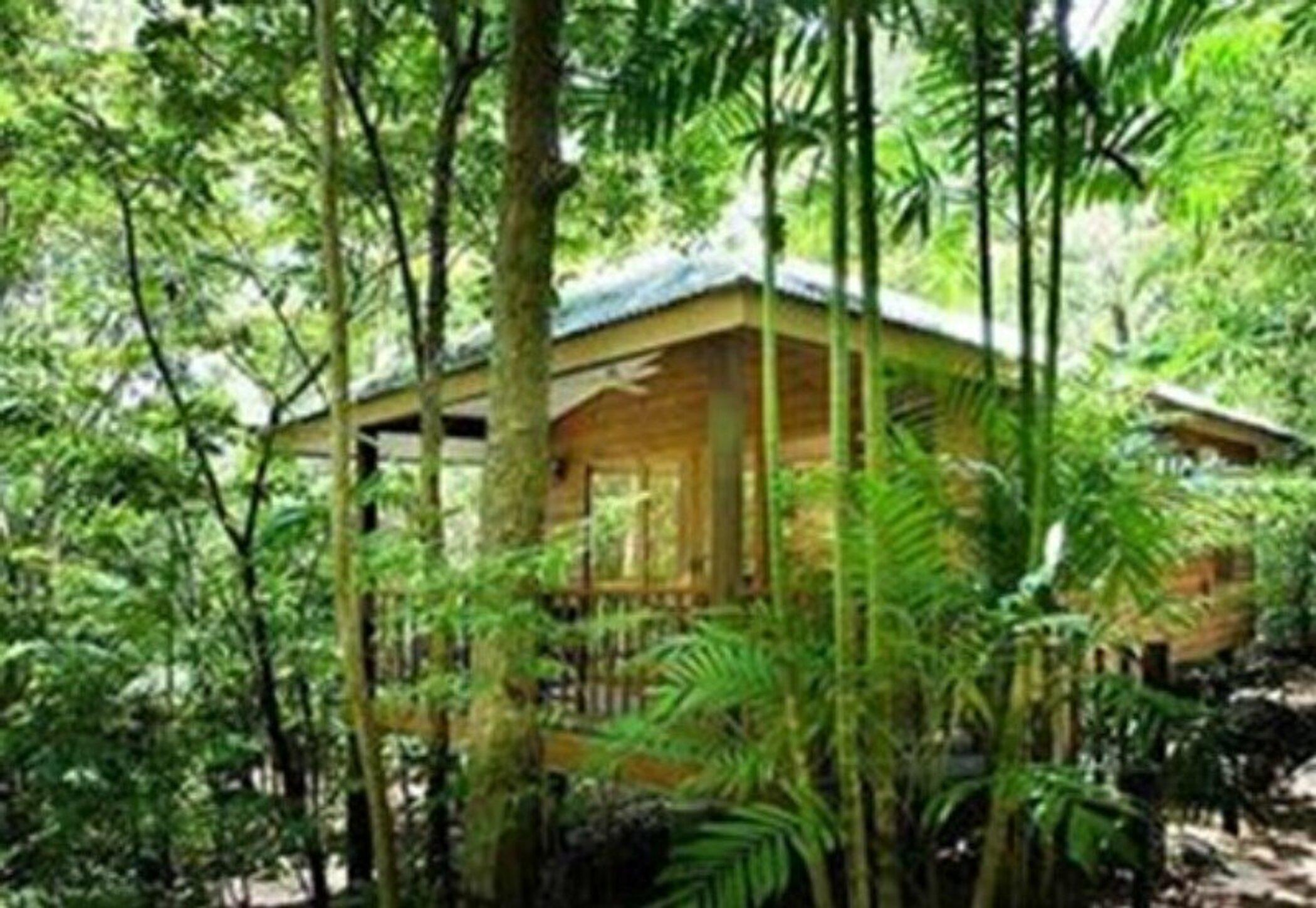 Thala Beach Nature Reserve Port Douglas Eksteriør billede
