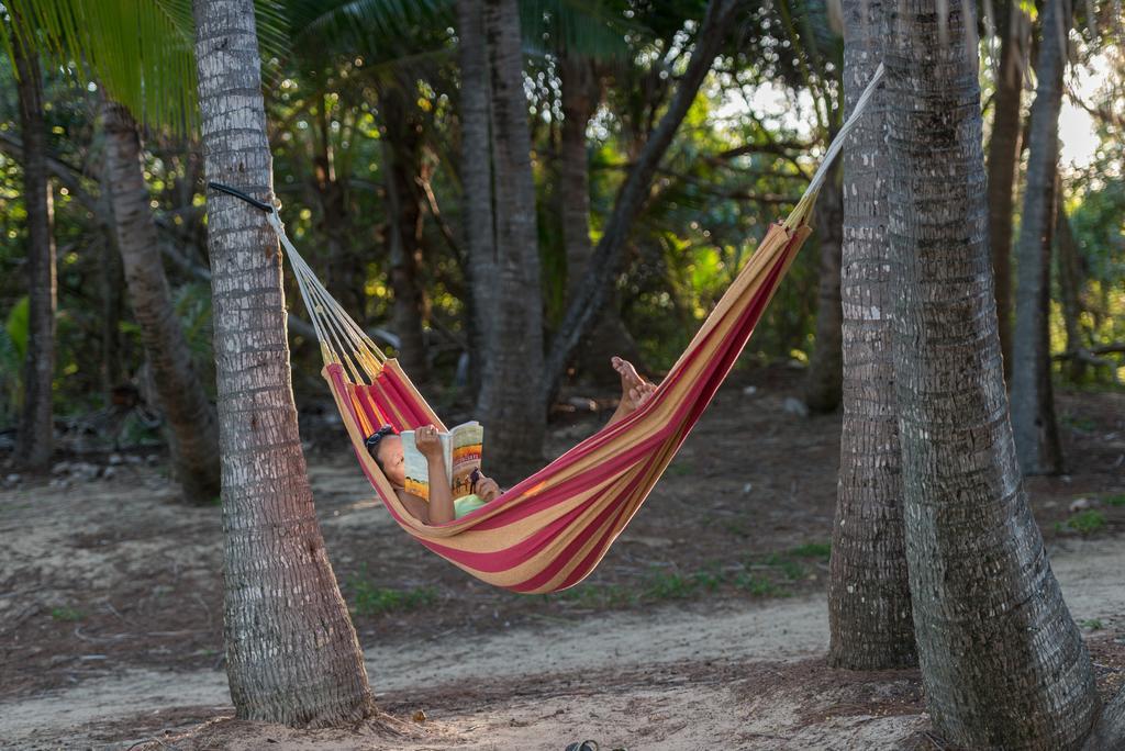 Thala Beach Nature Reserve Port Douglas Eksteriør billede